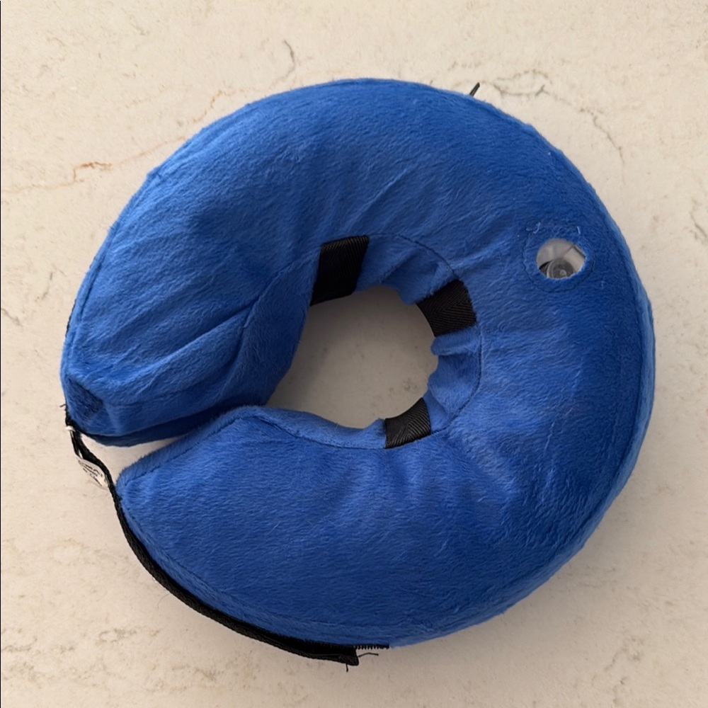 Blue dog cone